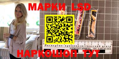 стафф Будённовск