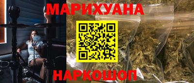гидра Славгород
