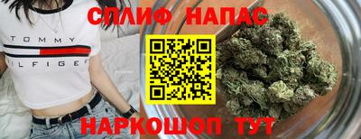 стафф Будённовск