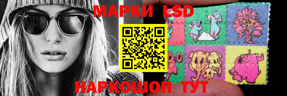 LSD-25 экстази кислота Новоалександровск