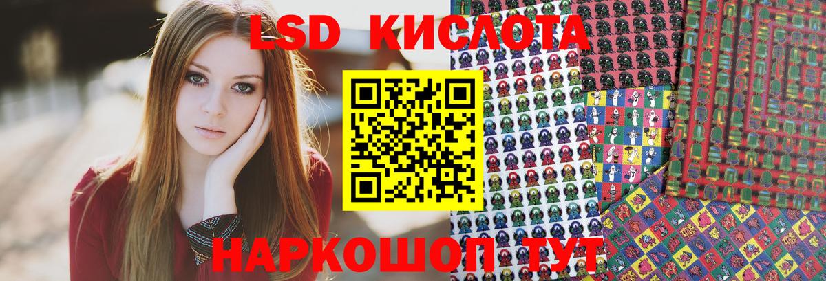 Галлюциногенные грибы Новоалександровск