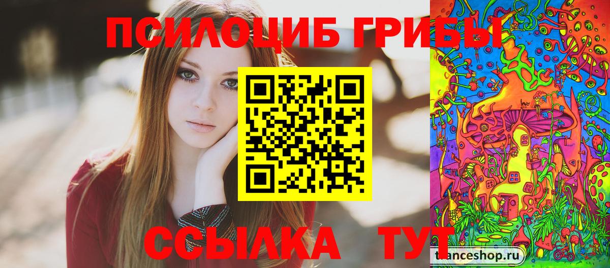 Псилоцибиновые грибы мицелий  что такое наркотик  Новоалександровск  Псилоцибиновые грибы Magic Shrooms  Вход с VPN 